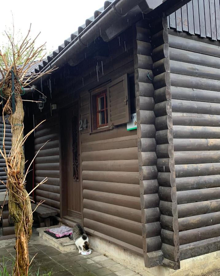 Lili Apartamento Brežice Exterior foto
